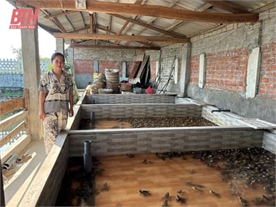 Phát triển mô hình kinh tế từ nguồn vốn vay Tài chính vi mô Thanh Hoá